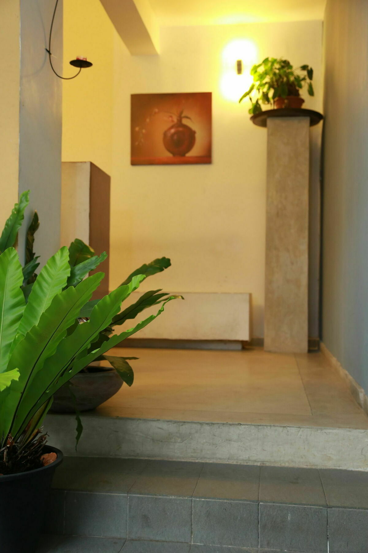 The Canes Boutique Hotel Κολόμπο Εξωτερικό φωτογραφία